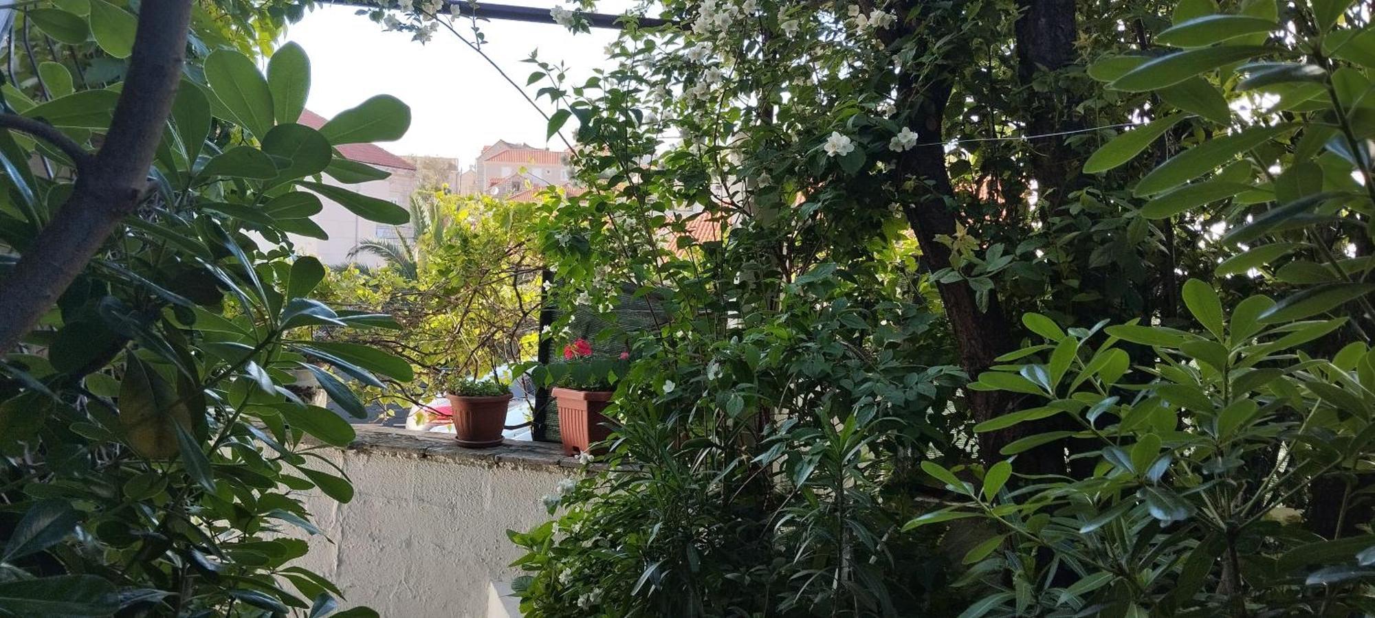 Apartment Maskaric Cavtat Exterior photo